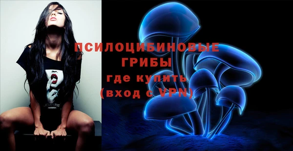 МДМА Гусев