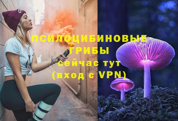дурь Гусиноозёрск
